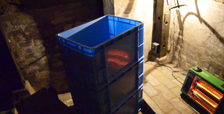 麹づくりワークショップ